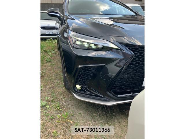 Lexus NX 2023-06 8100171-25