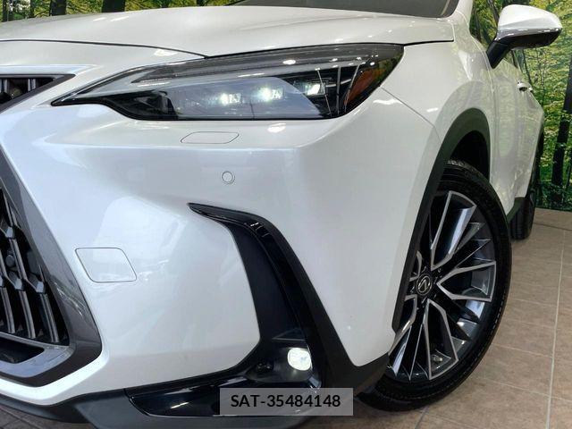 Lexus NX 2023-02 8100181-11