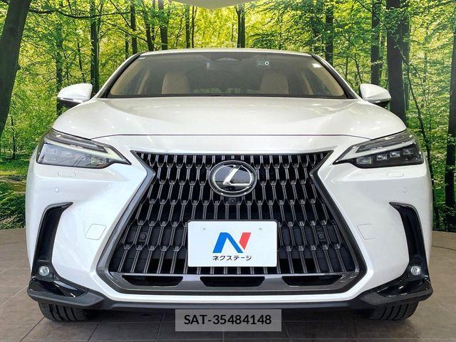Lexus NX 2023-02 8100181-13