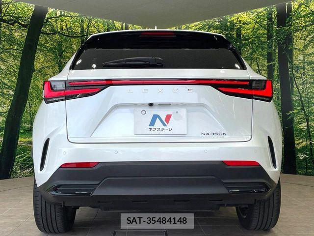 Lexus NX 2023-02 8100181-14