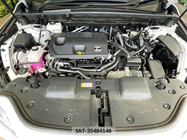 Lexus NX 2023-02 8100181-17