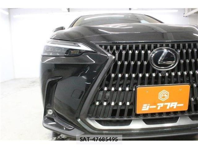 Lexus NX 2023-06 8100183-10