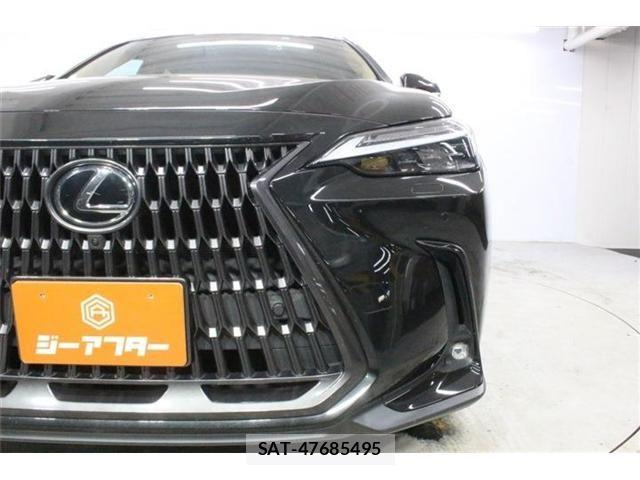Lexus NX 2023-06 8100183-13