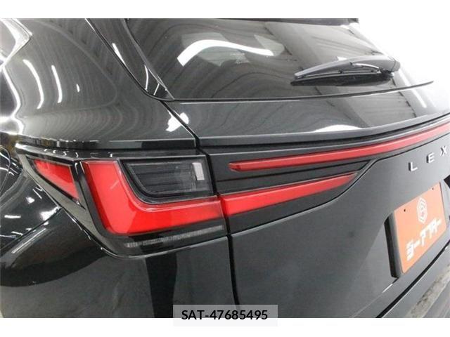 Lexus NX 2023-06 8100183-17
