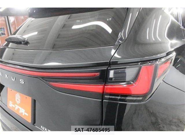 Lexus NX 2023-06 8100183-18