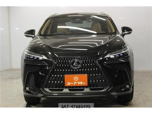 Lexus NX 2023-06 8100183-1