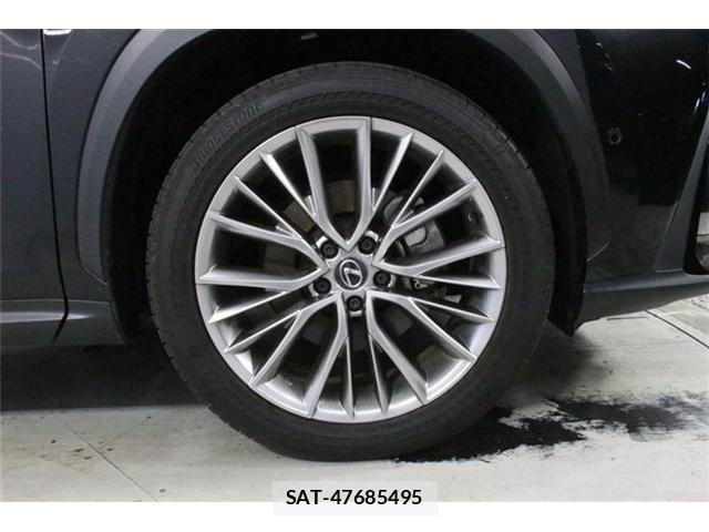 Lexus NX 2023-06 8100183-22