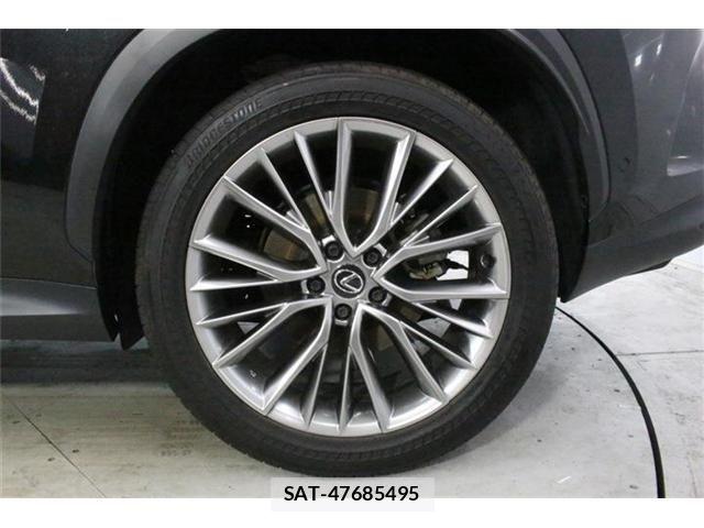Lexus NX 2023-06 8100183-24