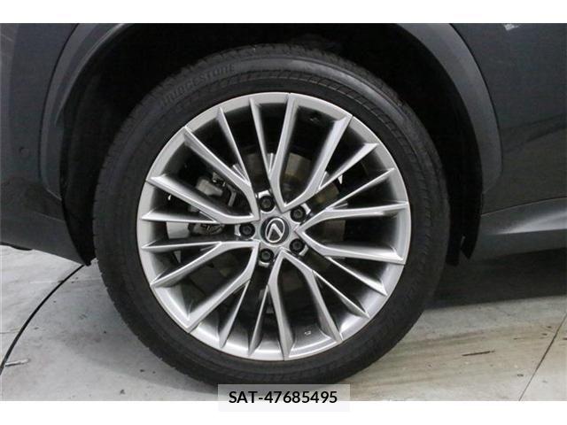 Lexus NX 2023-06 8100183-25