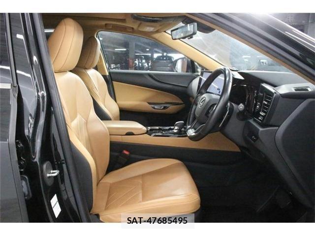 Lexus NX 2023-06 8100183-28