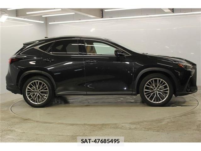 Lexus NX 2023-06 8100183-3