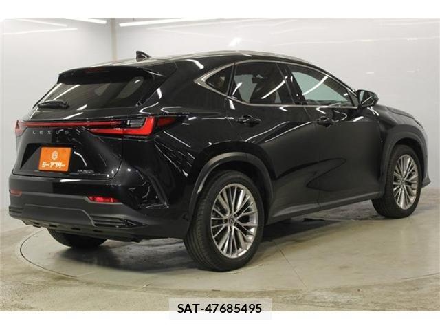 Lexus NX 2023-06 8100183-4