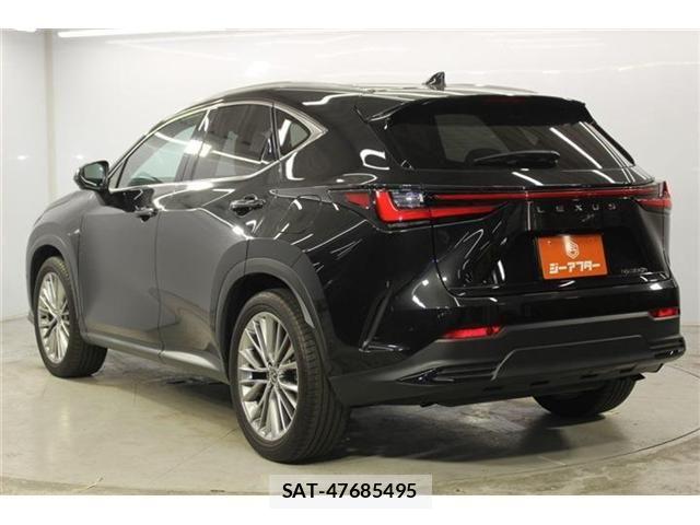 Lexus NX 2023-06 8100183-6
