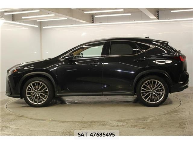Lexus NX 2023-06 8100183-7