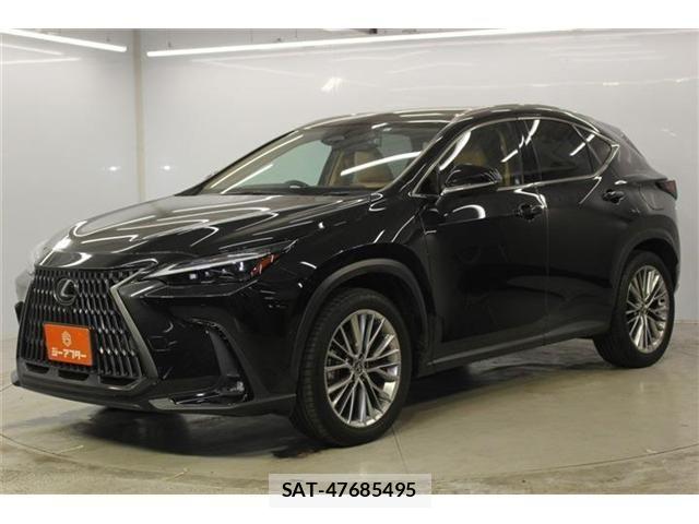 Lexus NX 2023-06 8100183-8