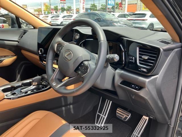 Lexus NX 2025-07 8100168-15