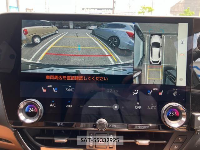 Lexus NX 2025-07 8100168-25