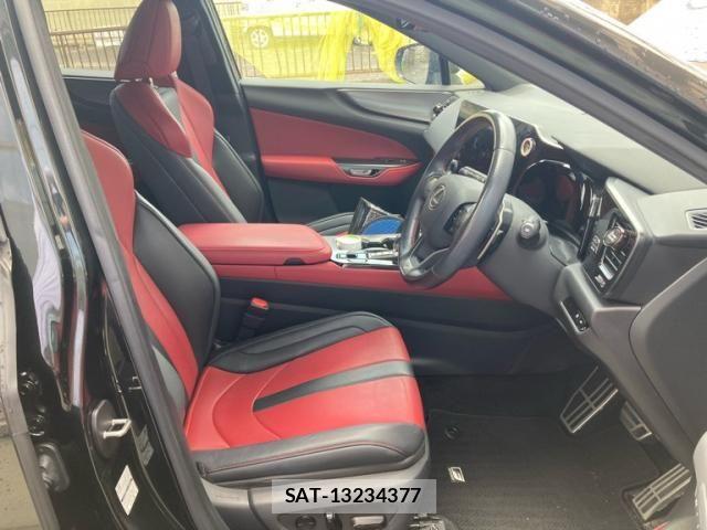 Lexus NX 2023-12 8100179-14