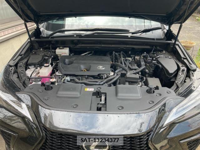 Lexus NX 2023-12 8100179-21