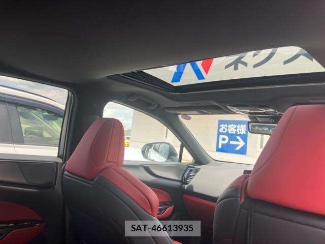 Lexus NX 2024-06 8100170-14
