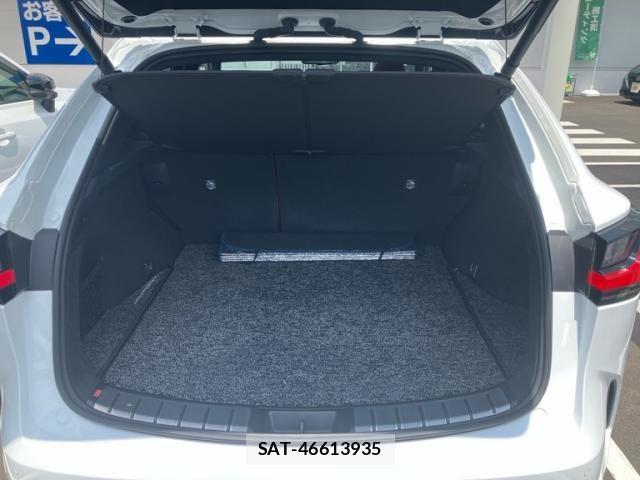 Lexus NX 2024-06 8100170-15