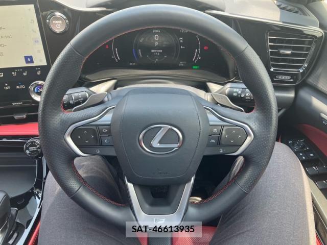 Lexus NX 2024-06 8100170-25
