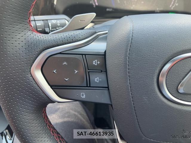 Lexus NX 2024-06 8100170-26