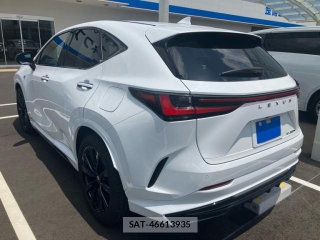 Lexus NX 2024-06 8100170-4