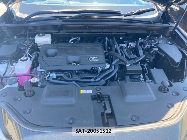 Lexus NX 2025-03 8100169-12