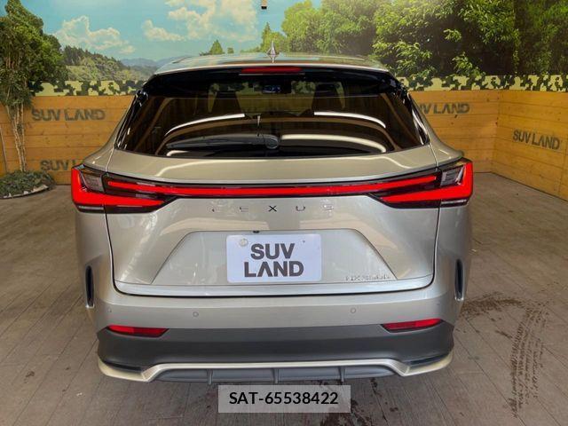 Lexus NX 2024-10 8131026-14