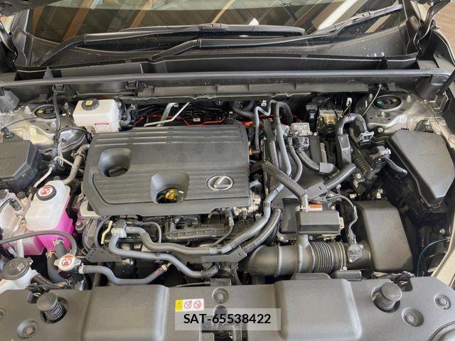 Lexus NX 2024-10 8131026-17