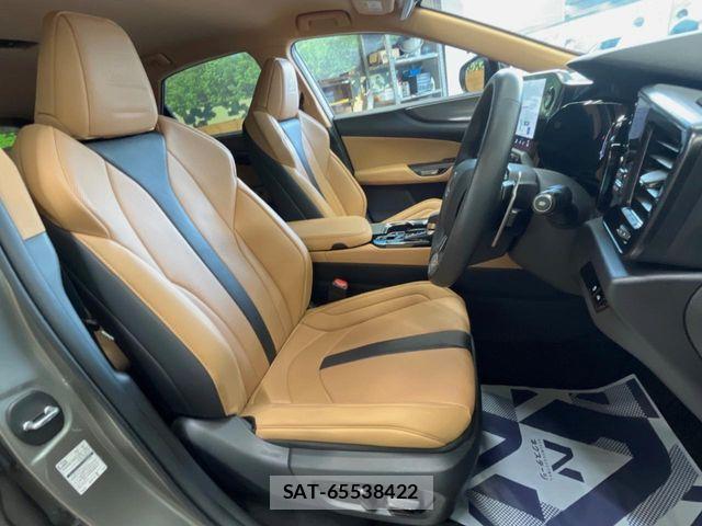 Lexus NX 2024-10 8131026-7