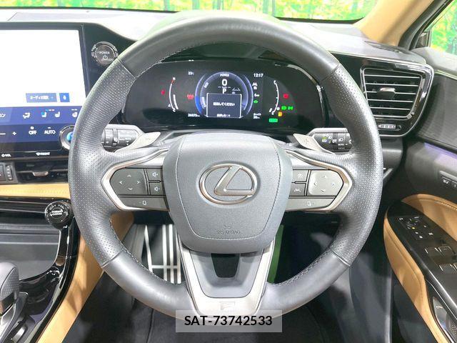 Lexus NX 2024-06 8131038-10