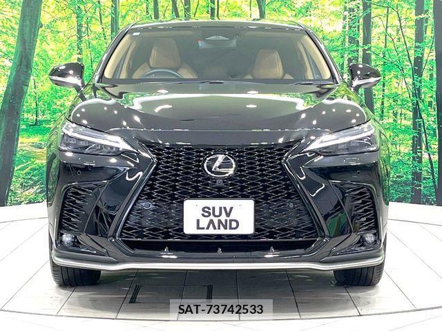 Lexus NX 2024-06 8131038-13
