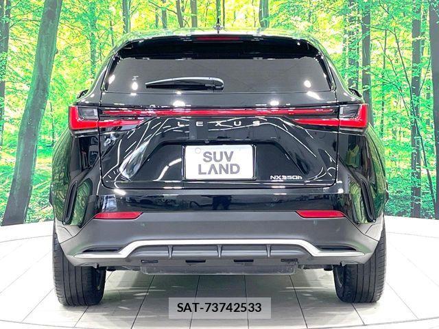 Lexus NX 2024-06 8131038-14