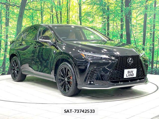 Lexus NX 2024-06 8131038-15