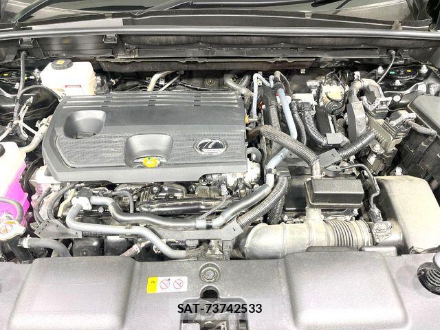 Lexus NX 2024-06 8131038-17