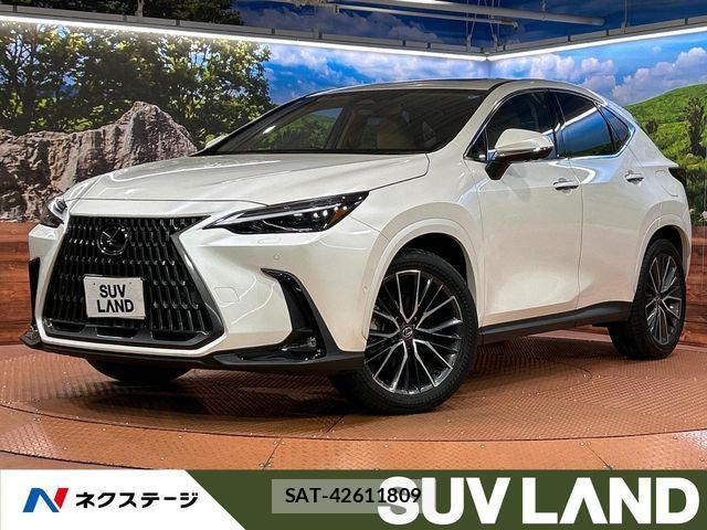 Lexus NX 2025-02 8131039-0