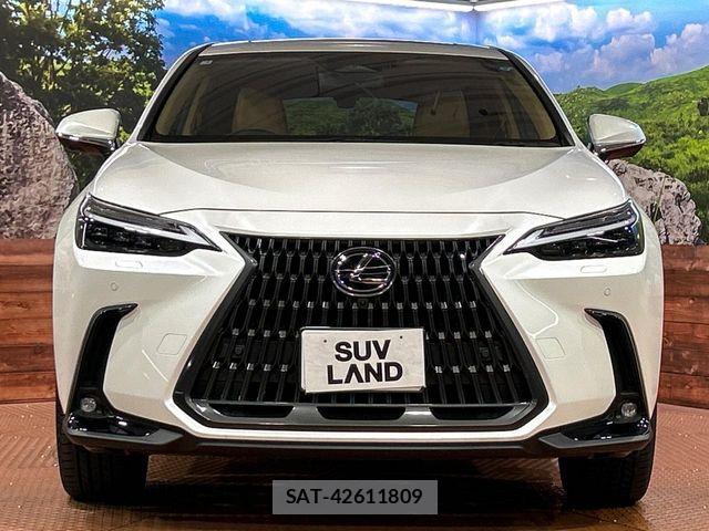Lexus NX 2025-02 8131039-13