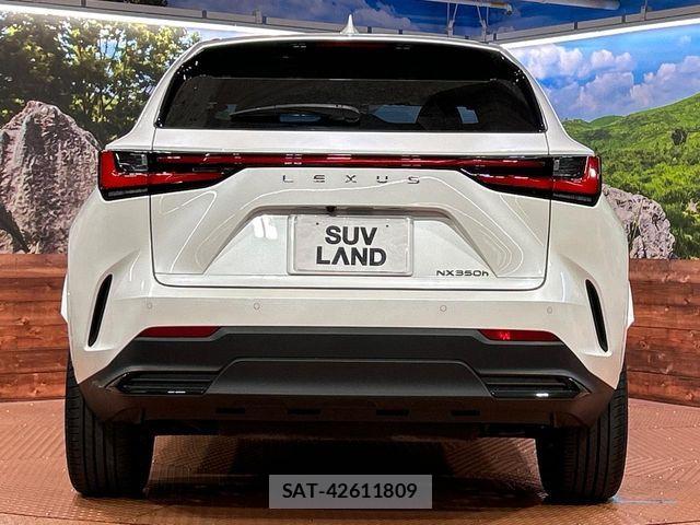 Lexus NX 2025-02 8131039-14