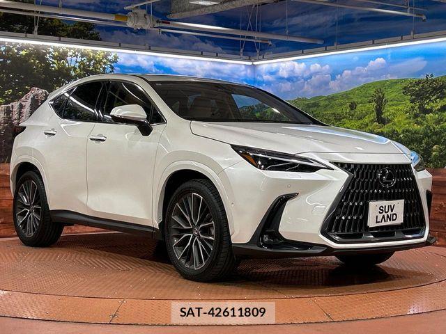 Lexus NX 2025-02 8131039-15