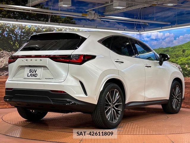 Lexus NX 2025-02 8131039-16