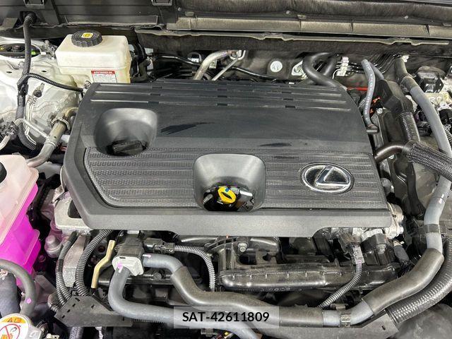 Lexus NX 2025-02 8131039-17