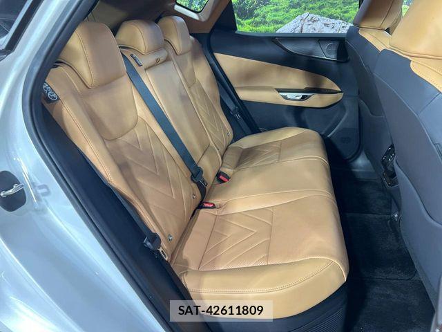 Lexus NX 2025-02 8131039-8