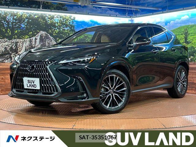 Lexus NX 2025-04 8131031-0
