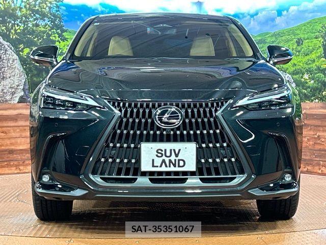 Lexus NX 2025-04 8131031-13