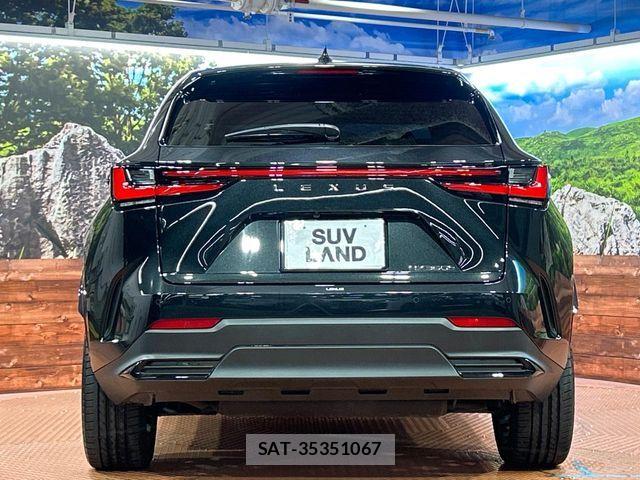 Lexus NX 2025-04 8131031-14