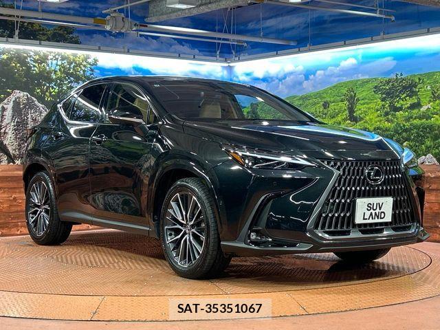 Lexus NX 2025-04 8131031-15