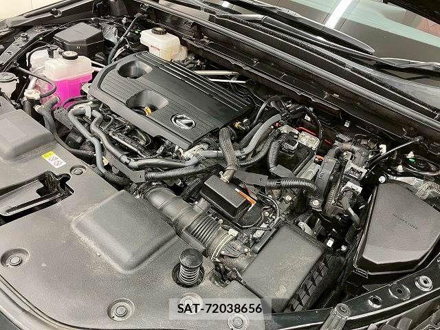 Lexus NX 2023-03 8146078-12