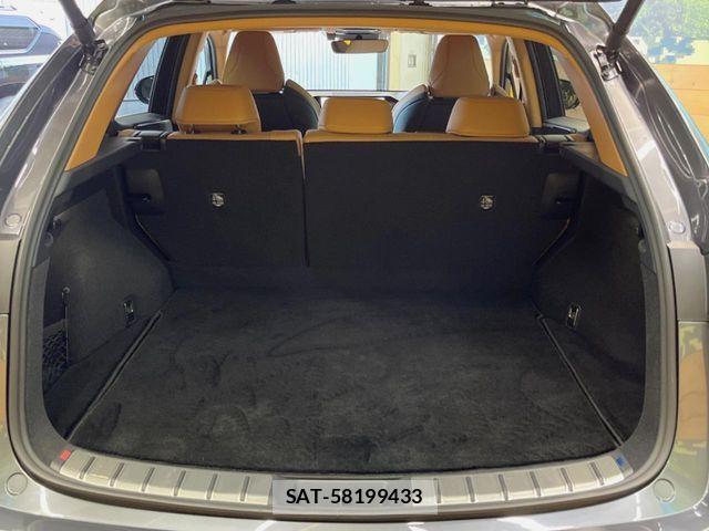 Lexus NX 2025-10 8146075-9